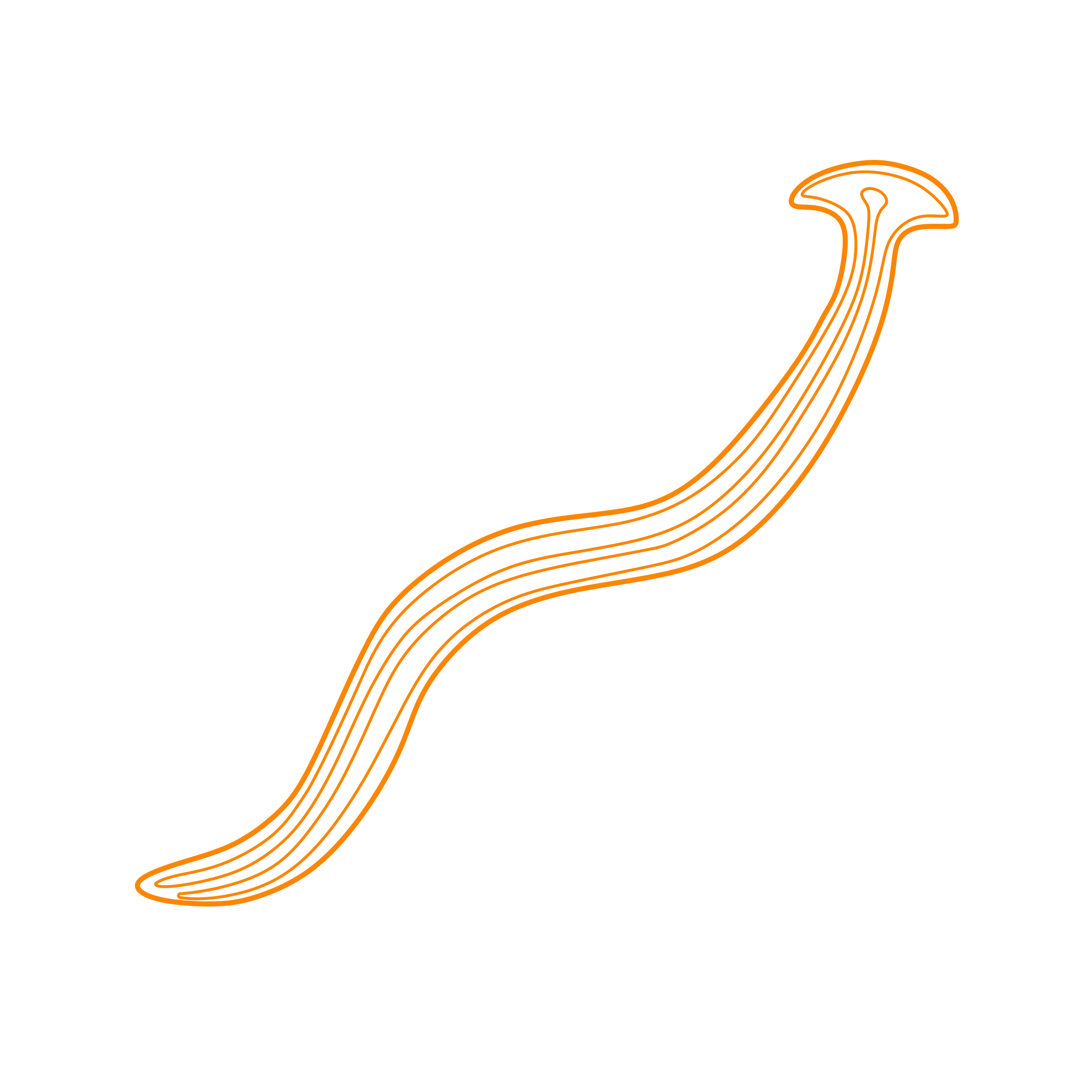 Animals Worms Hammerhead Flatworm Vinyl Cutting Svg File Free Vectors